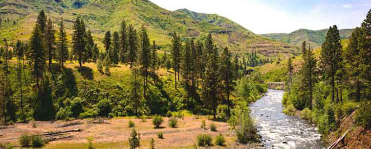 Idaho landscape